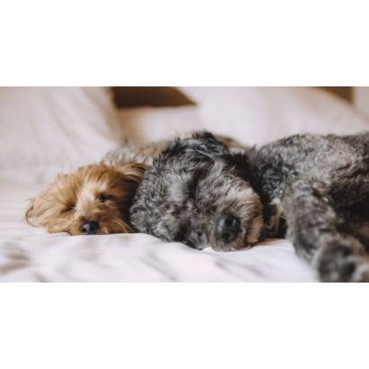 截圖 2025-12-08 15.10.00.png